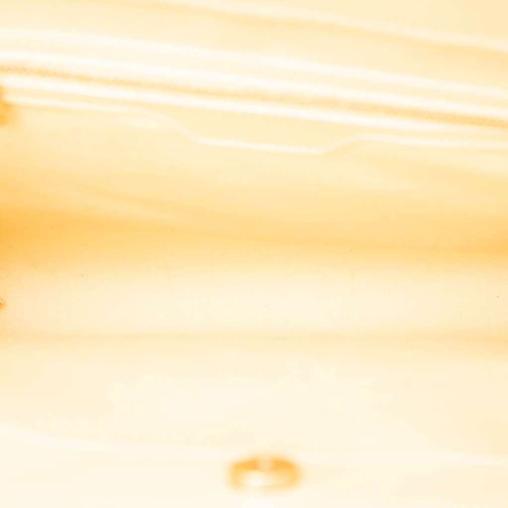 Louis Vuitton Epi Saint Tropez - 4