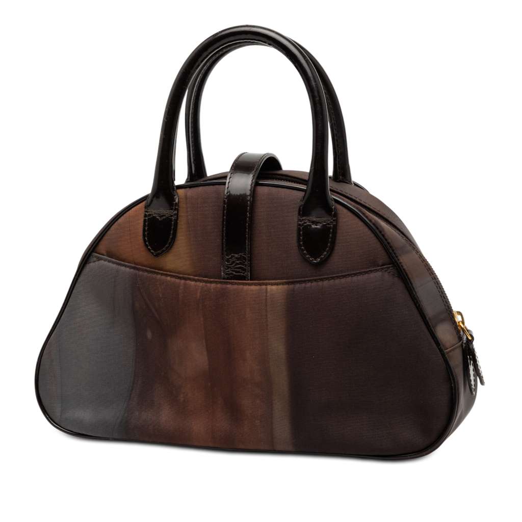 Dior Mini Printed Nylon Double Saddle Bowler Bag - 2