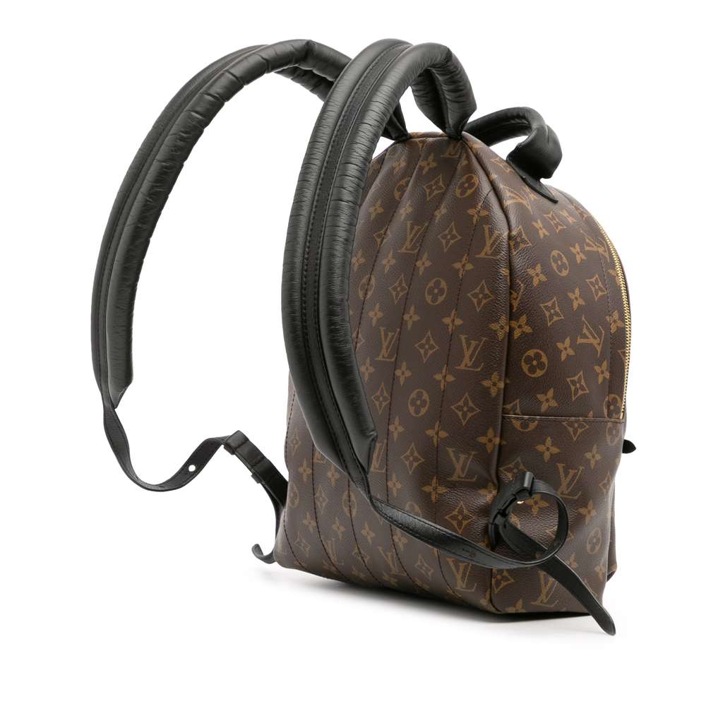 Louis Vuitton Monogram Palm Springs MM - 2