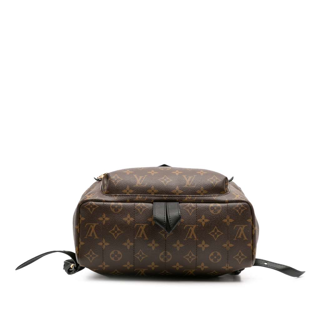 Louis Vuitton Monogram Palm Springs MM - 3