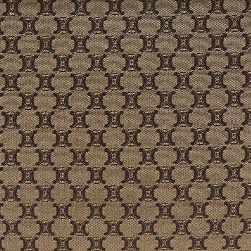 Celine Macadam Coated Canvas Tote Brown Canvas Very good - Box View