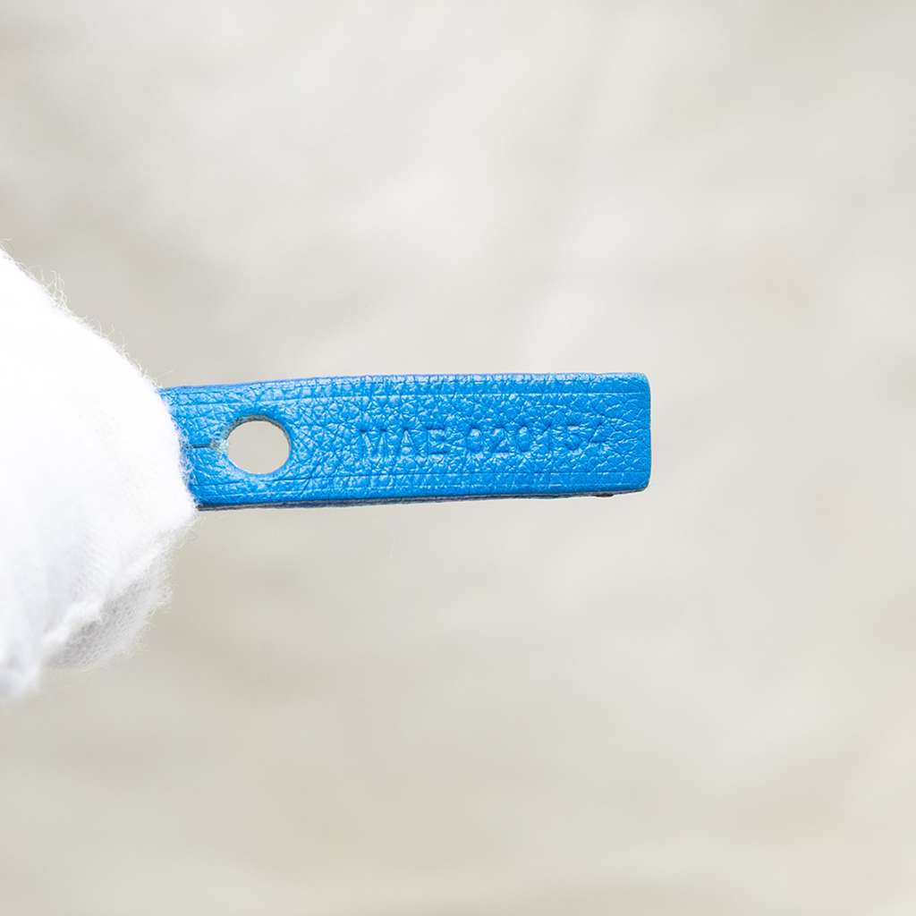 Goyard Goyardine Saint Louis GM - 5