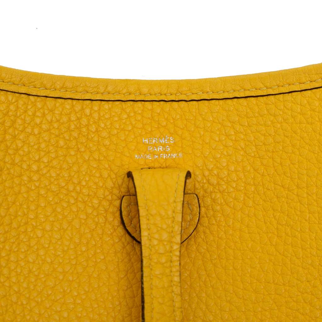 Hermès Clemence Amazone Evelyne TPM 16 - 5