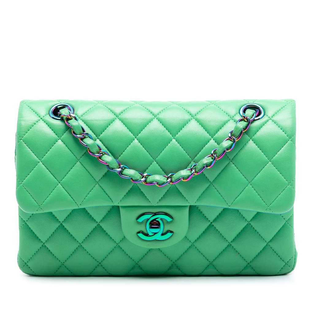 Chanel Small Classic Lambskin Rainbow Hardware Double Flap