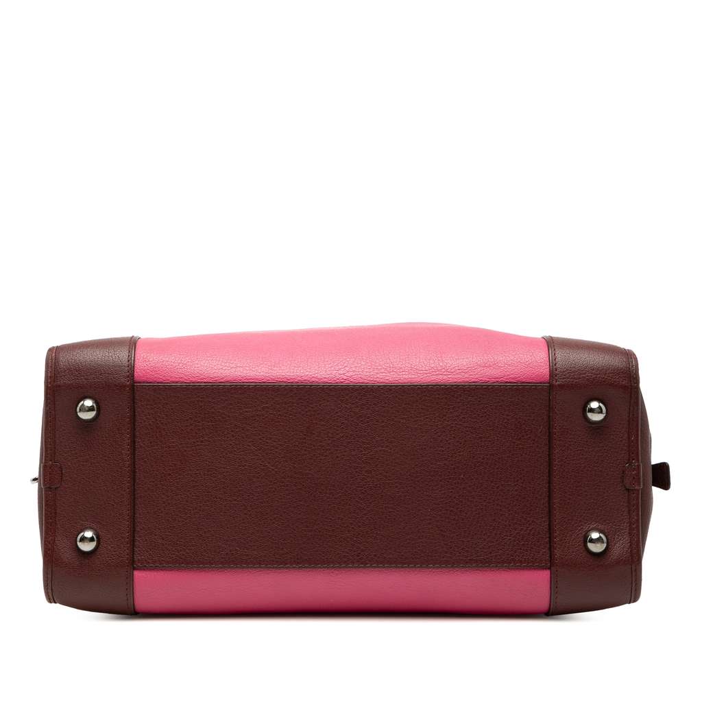 Loewe Tricolor Goatskin Amazona 36 - 3