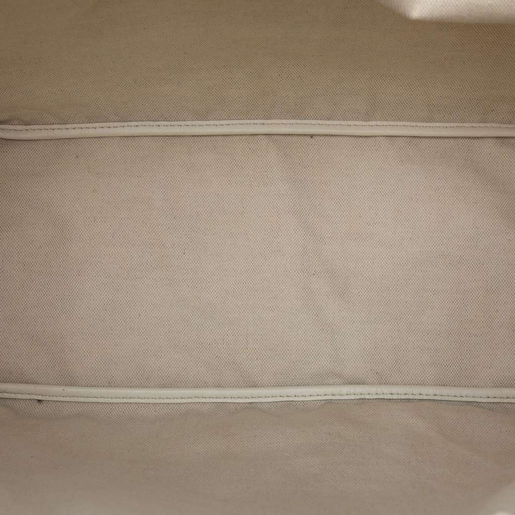 Goyard Goyardine Saint Louis PM - 4