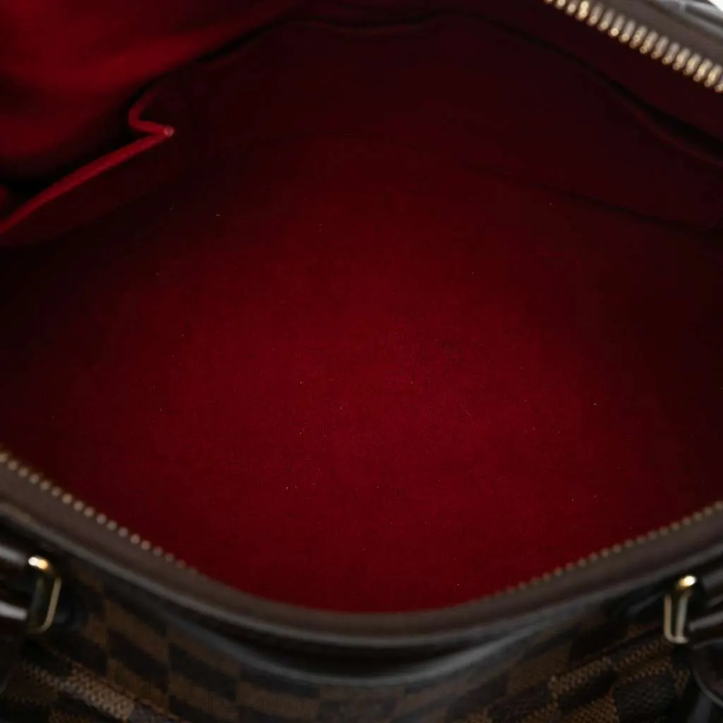 Louis Vuitton Damier Ebene Trevi GM Brown Very good - Model View