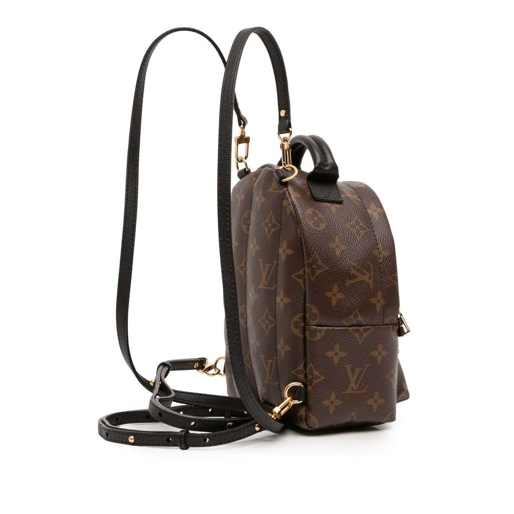 Louis Vuitton Monogram Mini Palm Springs - 2