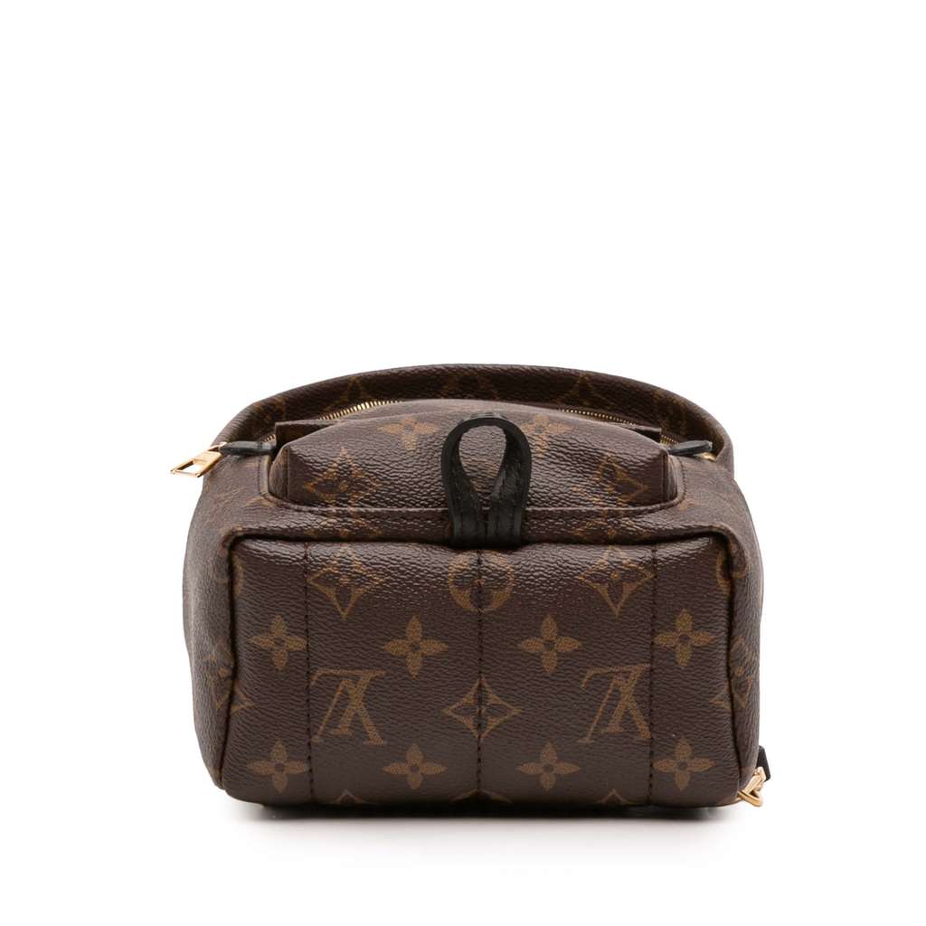 Louis Vuitton Monogram Mini Palm Springs - 3