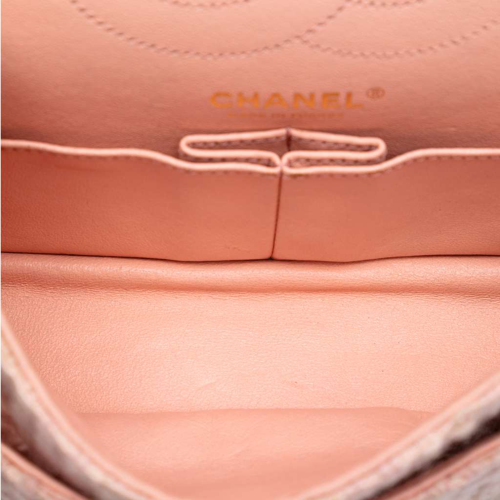 Chanel Quilted Tweed Reissue 2.55 Double Flap 225 - 4