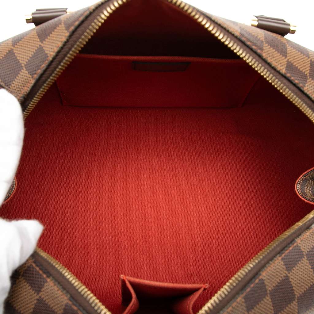 Louis Vuitton Damier Ebene Ribera MM - 4