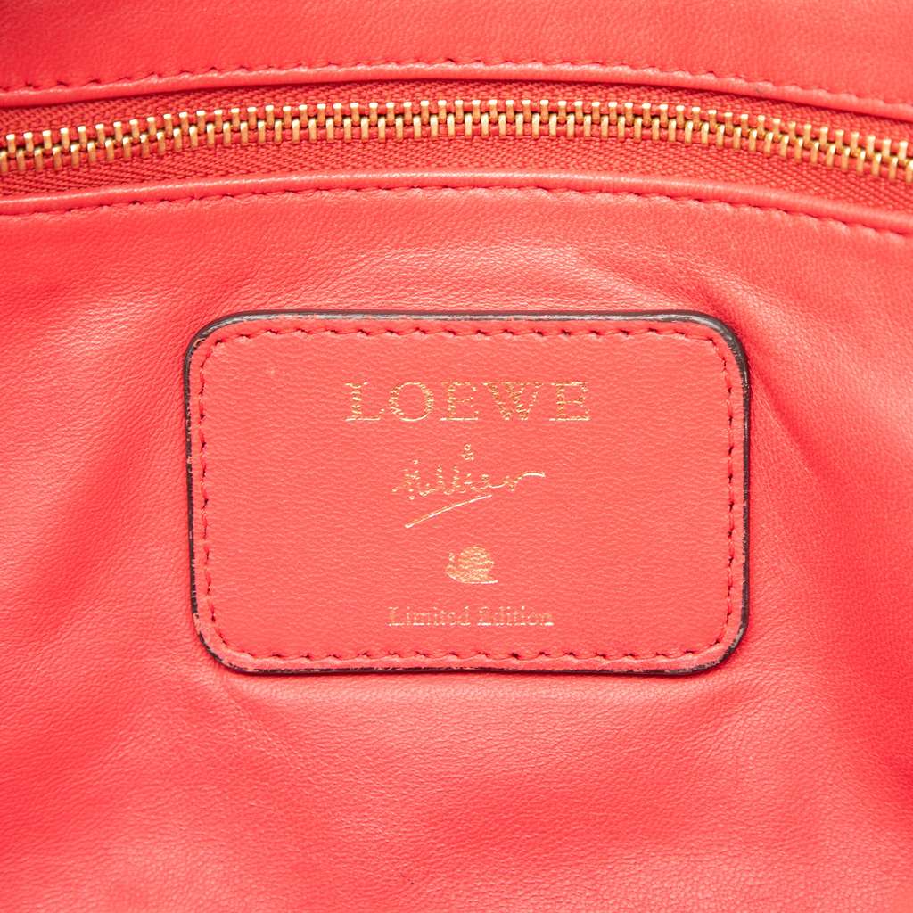 Loewe Limited Edition Goatskin Amazona 28 - 5