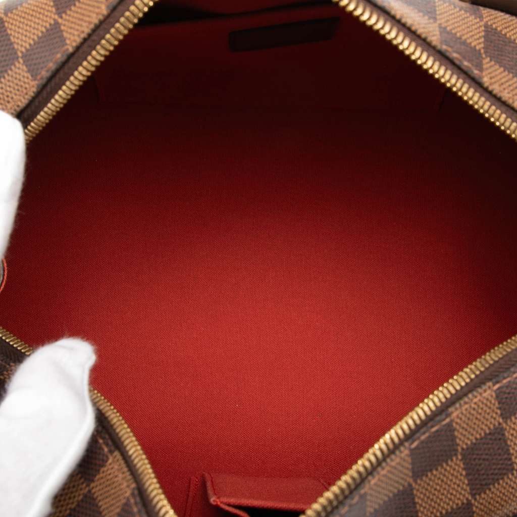 Louis Vuitton Damier Ebene Ribera MM - 4