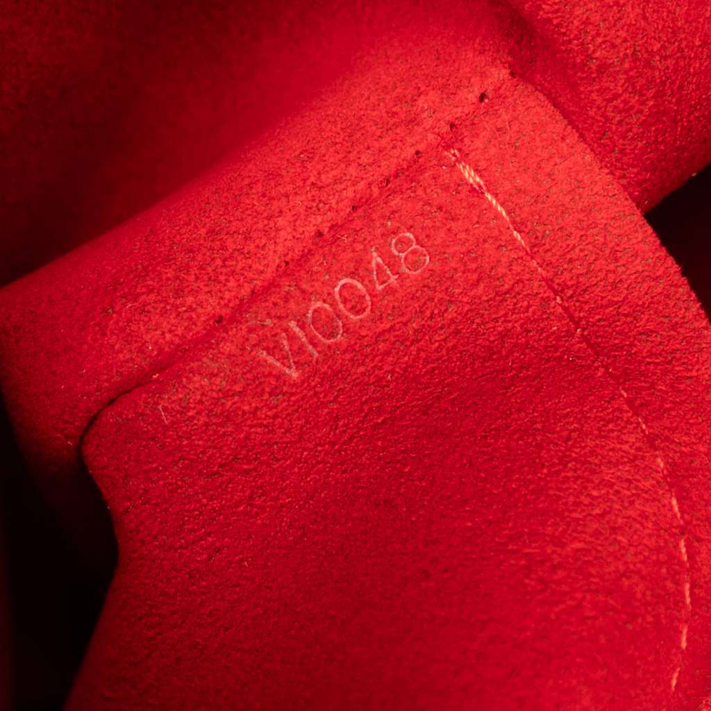 Louis Vuitton Damier Ebene Saleya PM - 5