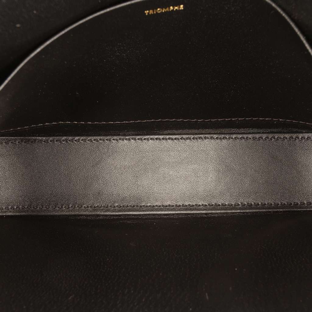 Celine Shiny Calfskin Triomphe Claude Shoulder Bag Black Leather Good condition - Model View
