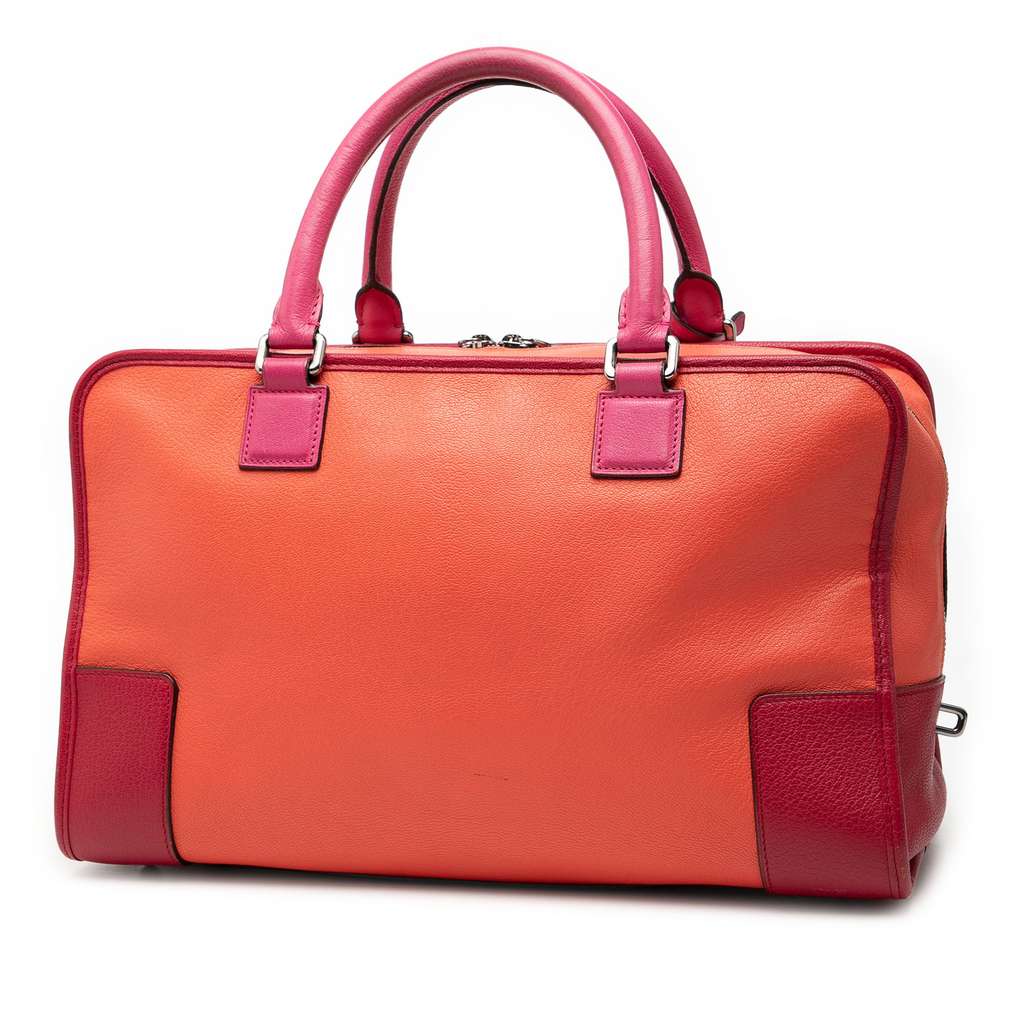 Loewe Tricolor Leather Amazona 36 Orange Leather Good condition - Back View