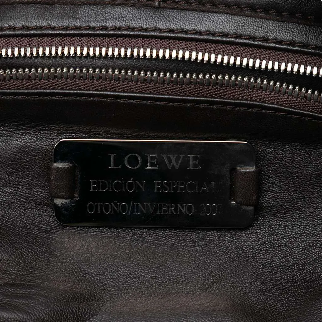 Loewe Special Edition 2007 Nappa Aire Handbag Brown Leather Very good - Box View
