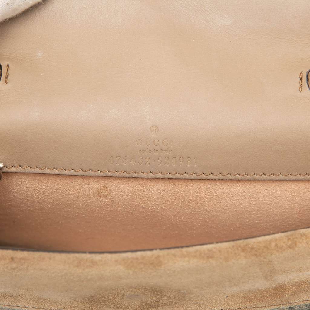 Gucci Mini GG Supreme Dionysus Crossbody Brown Canvas Good condition - Box View