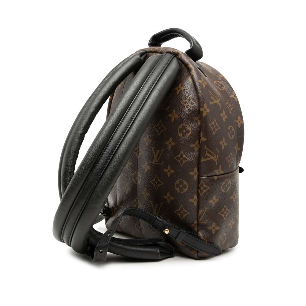 Louis Vuitton Monogram Palm Springs PM Brown Good condition - Back View