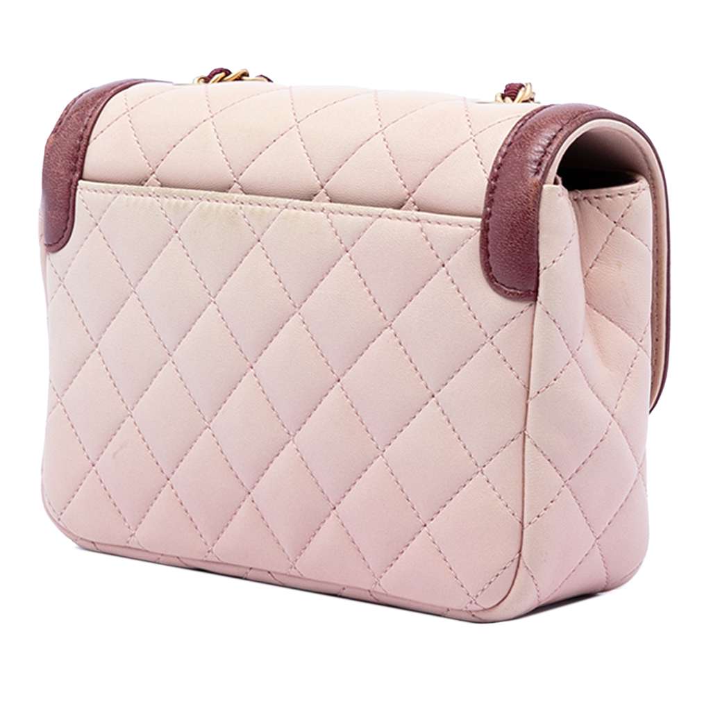 Chanel Mini Quilted Lambskin Two Tone Day Flap Pink Leather Good condition - Back View