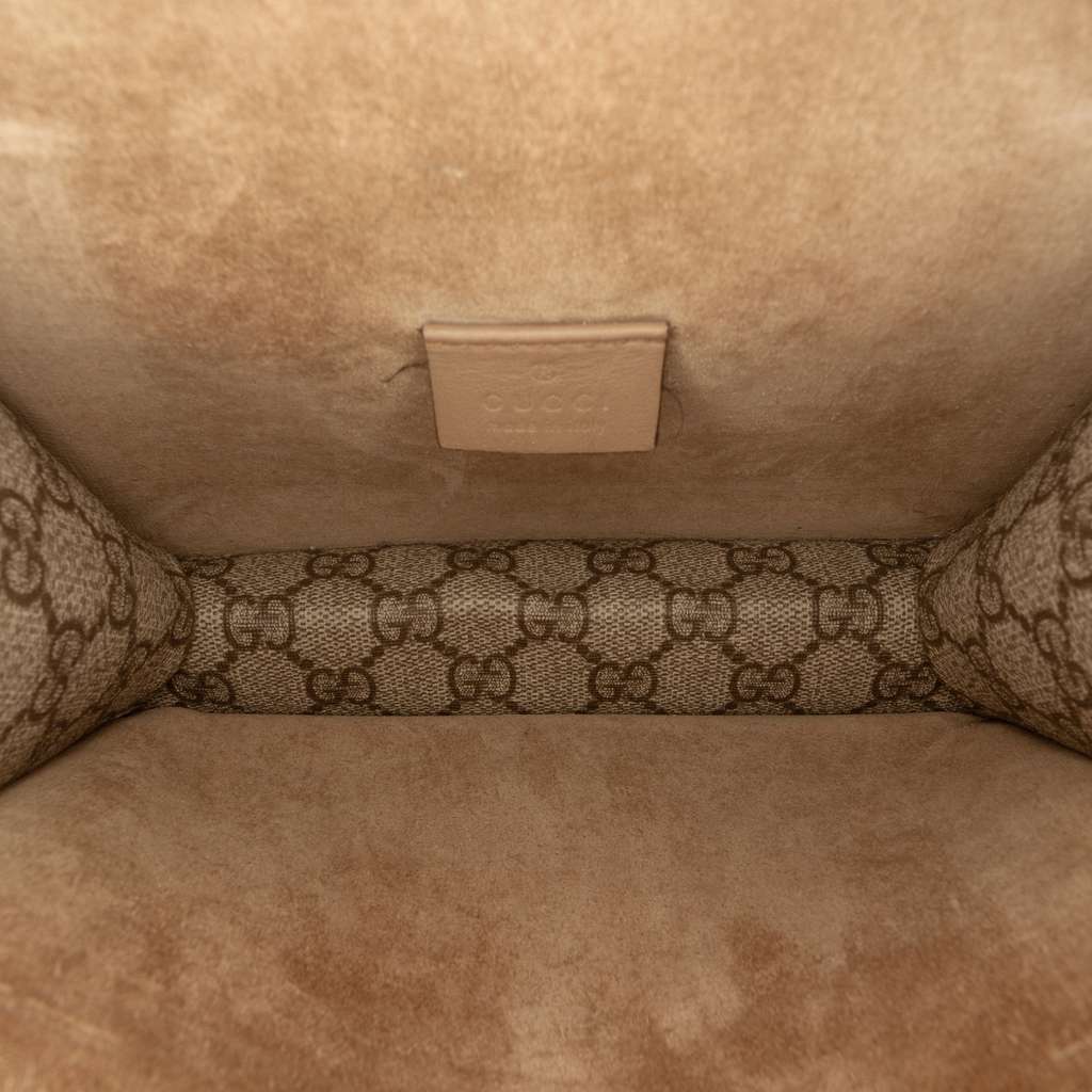 Gucci Small GG Supreme Dionysus Crossbody Brown Canvas Good condition - Model View