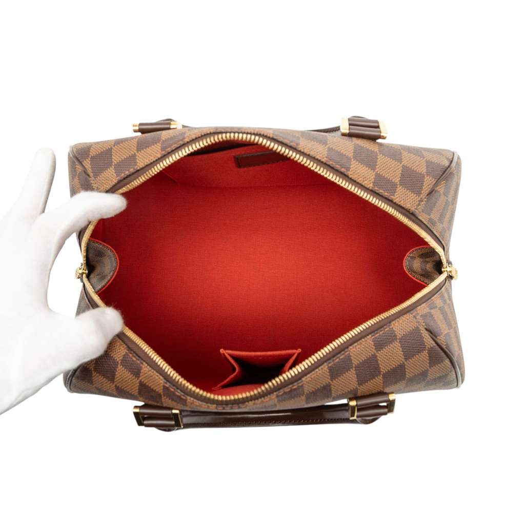 Louis Vuitton Damier Ebene Ribera MM Brown Good condition - Model View