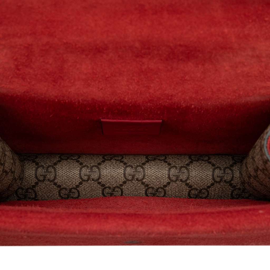 Gucci Small GG Supreme Dionysus Crossbody Brown Canvas Good condition - Model View