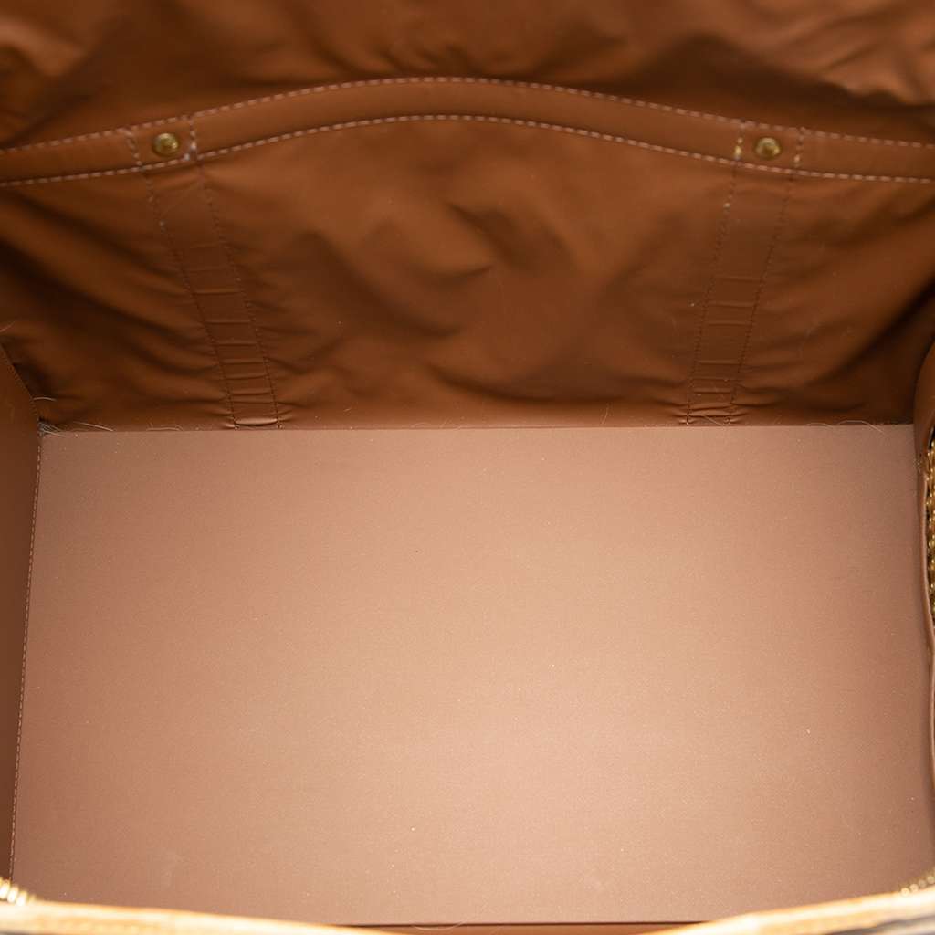 Louis Vuitton Monogram Sac Chien Pet Carrier 40 Brown Good condition - Model View