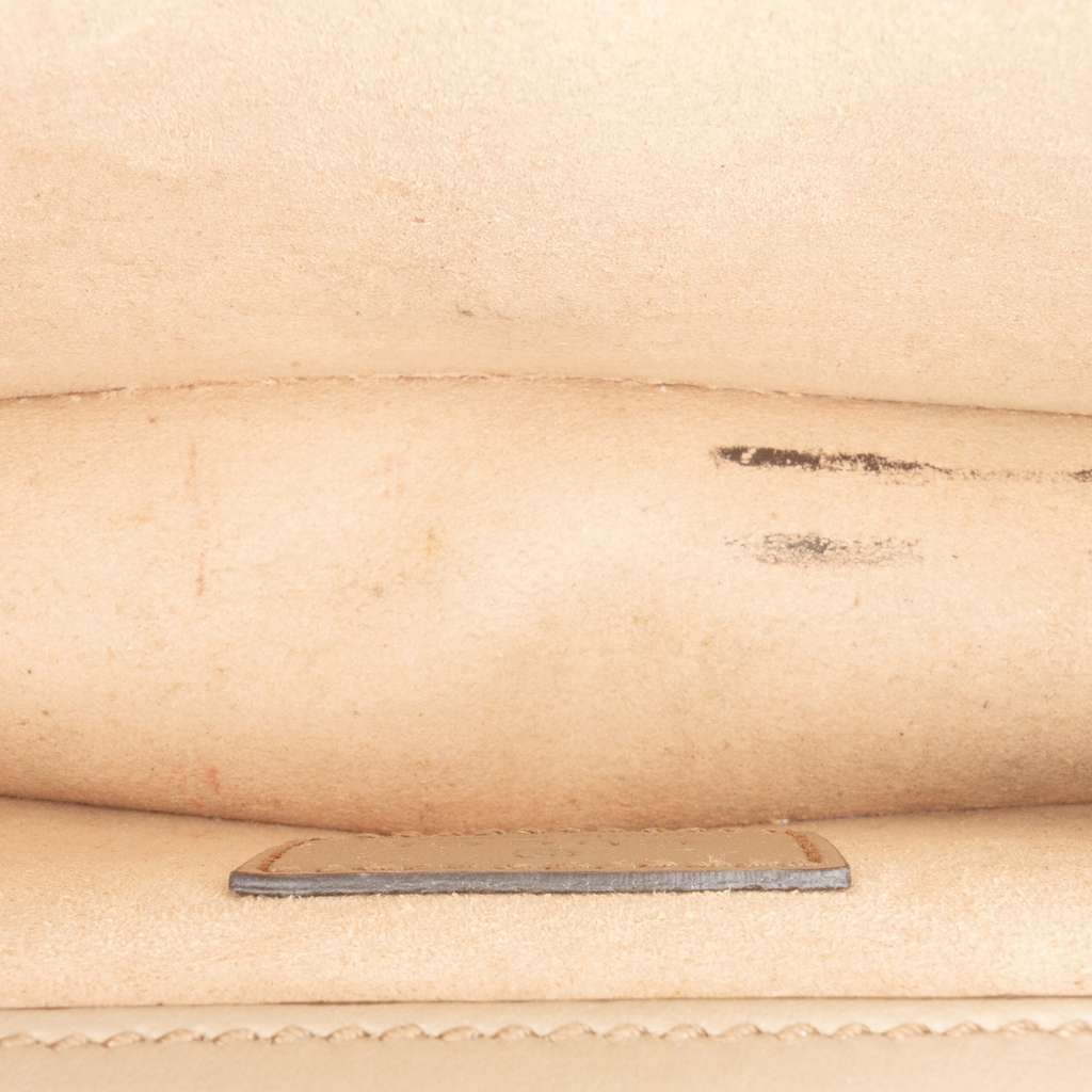 Gucci Mini GG Supreme Dionysus Crossbody Brown Canvas Good condition - Box View