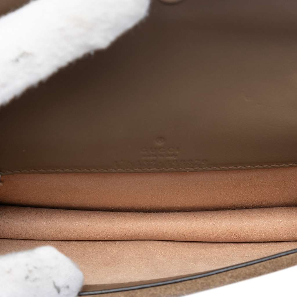 Gucci Mini GG Supreme Dionysus Crossbody Brown Canvas Good condition - Model View