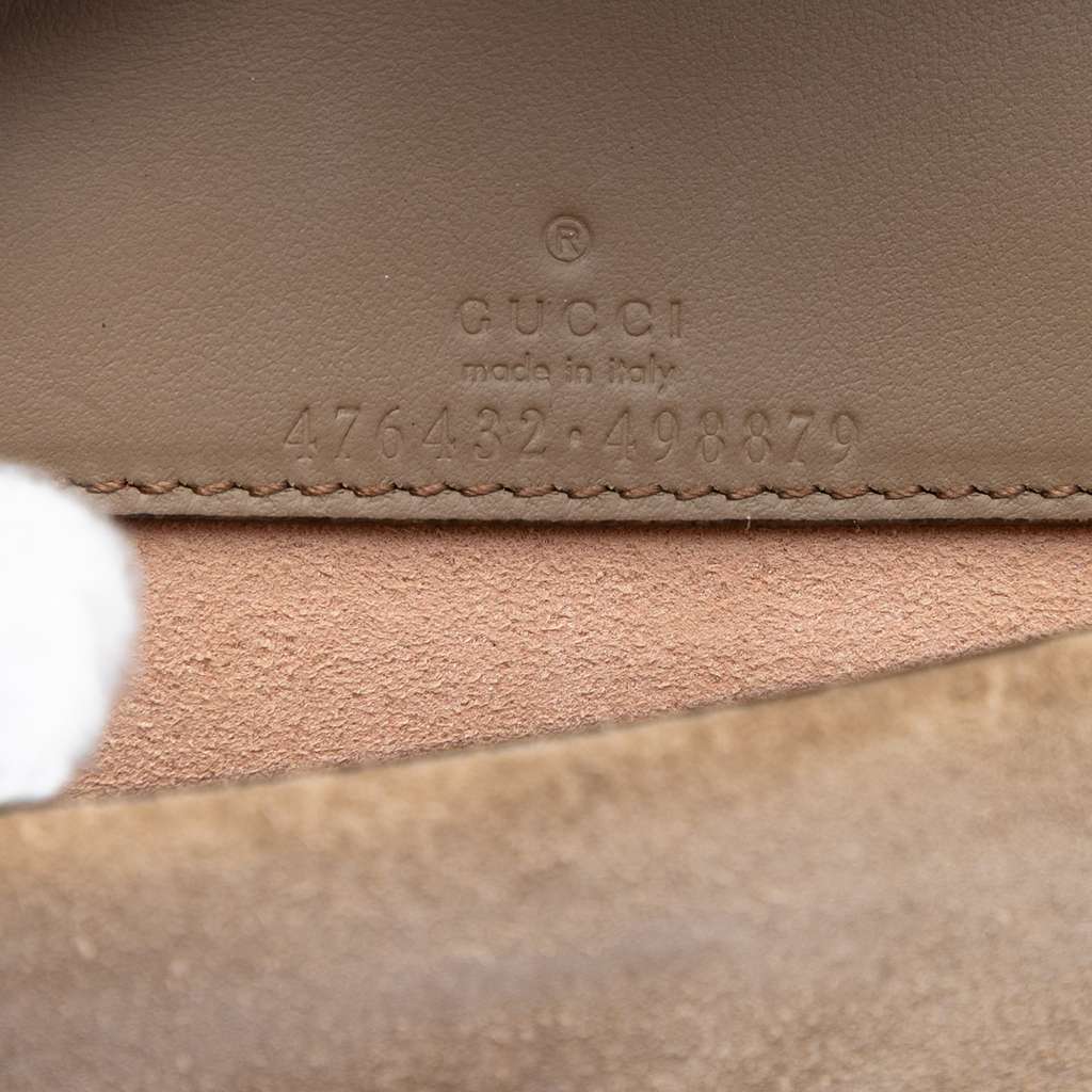 Gucci Mini GG Supreme Dionysus Crossbody Brown Canvas Good condition - Box View