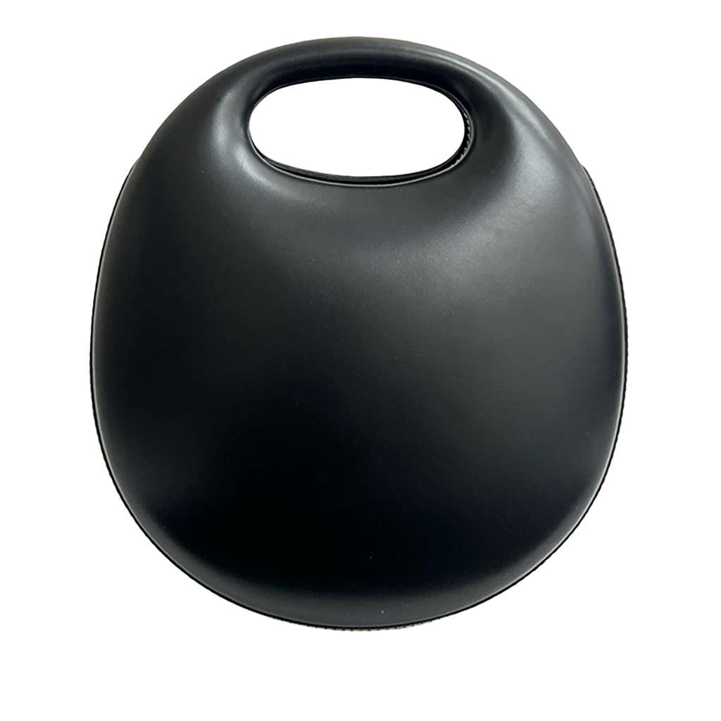 Loewe Leather Handbag Black Leather Good condition - Back View