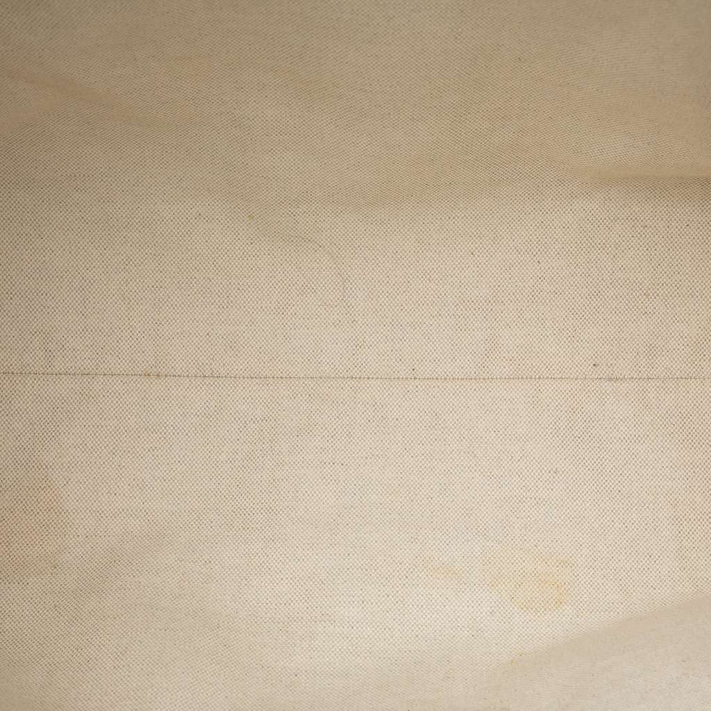 Gucci Medium GG Supreme Courrier Soft Tote Brown Canvas Good condition - Model View