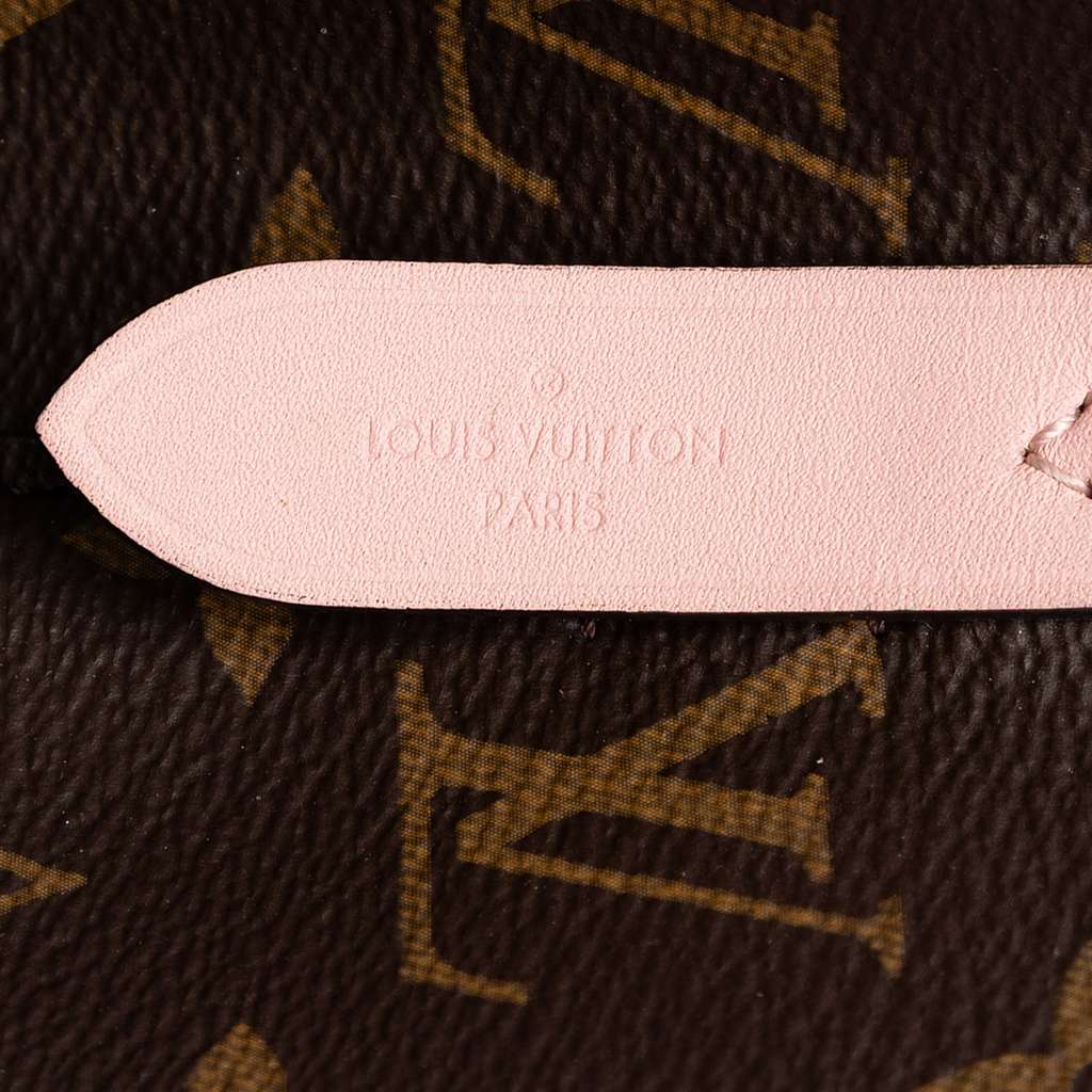 Louis Vuitton Monogram Neonoe MM Brown Good condition - Box View