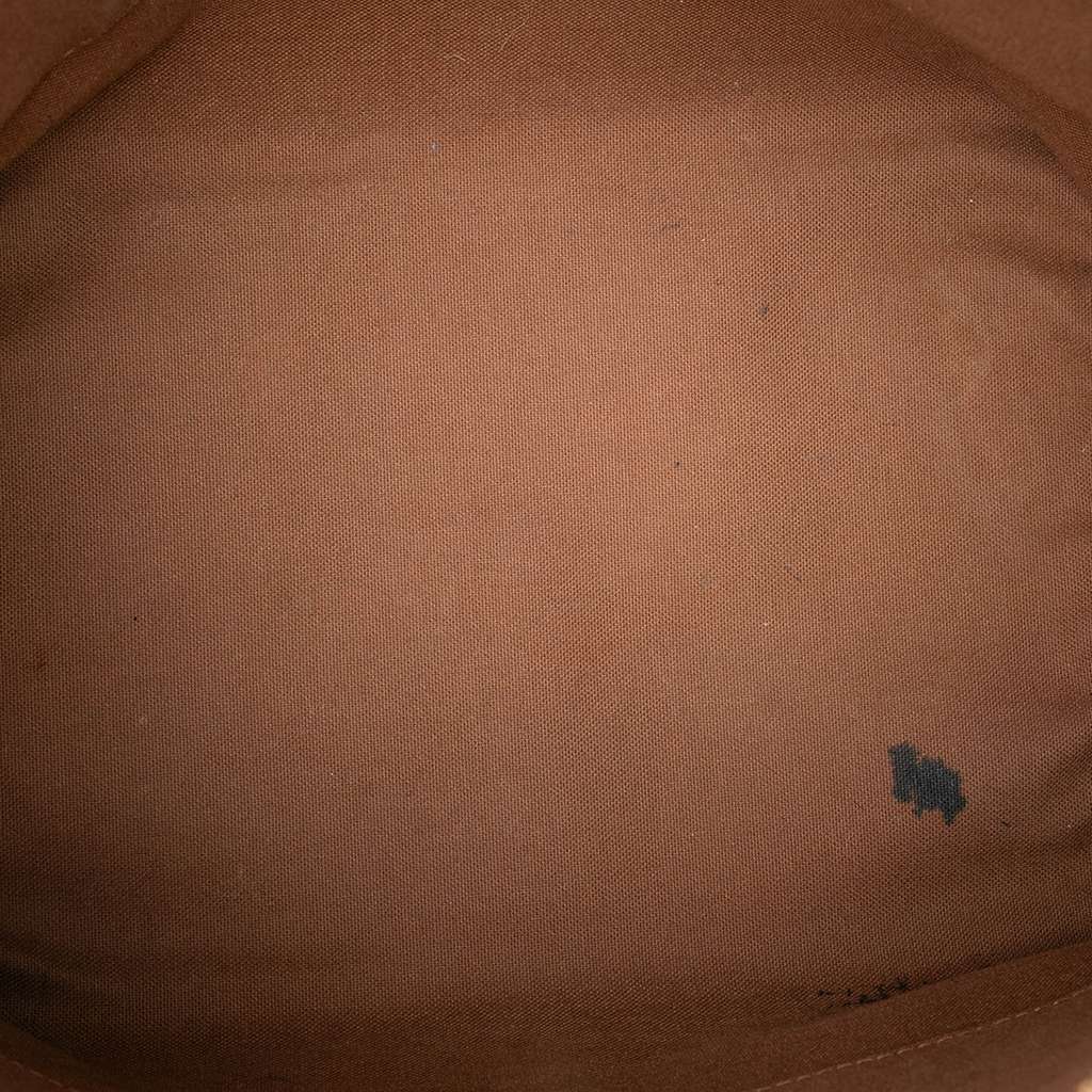 Louis Vuitton Monogram Palermo PM Brown Good condition - Model View