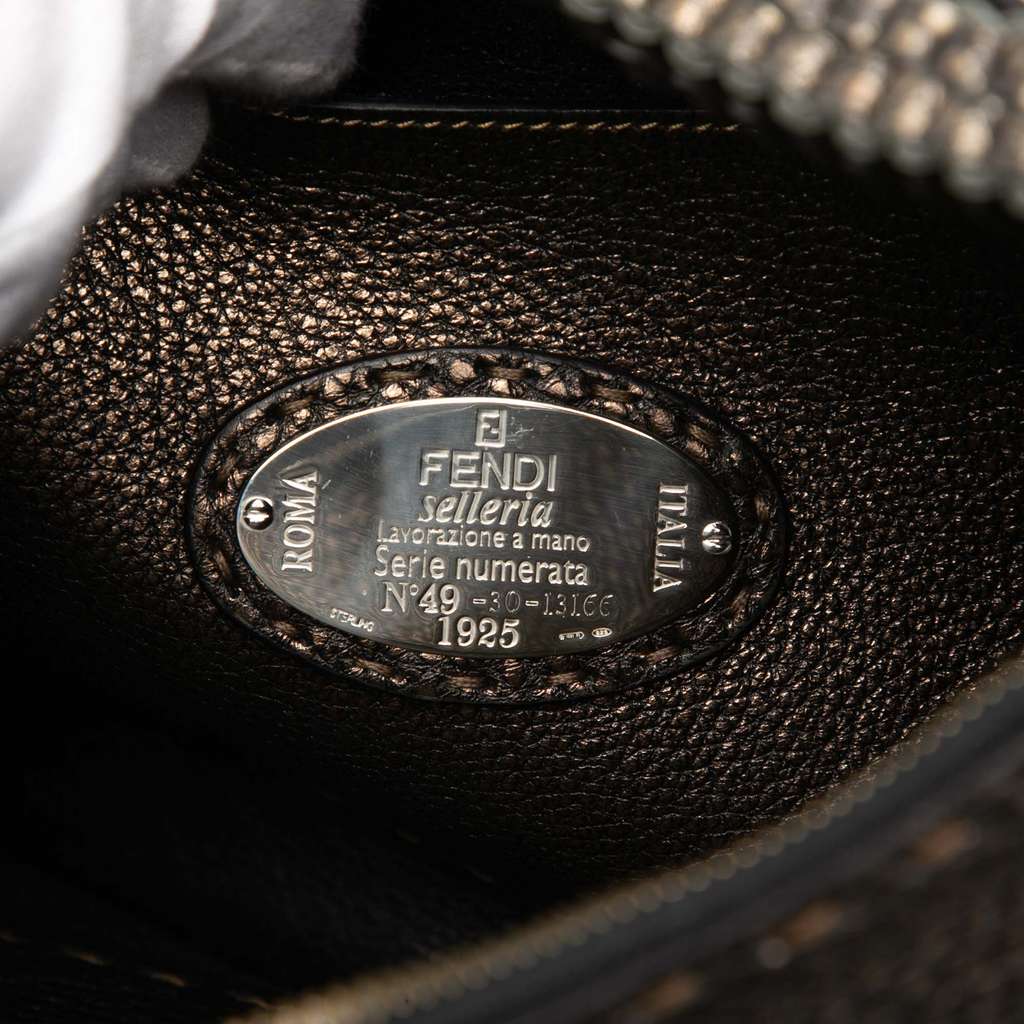 Fendi Metallic Pebbled Leather Selleria Shoulder Bag Brown Leather Good condition - Box View