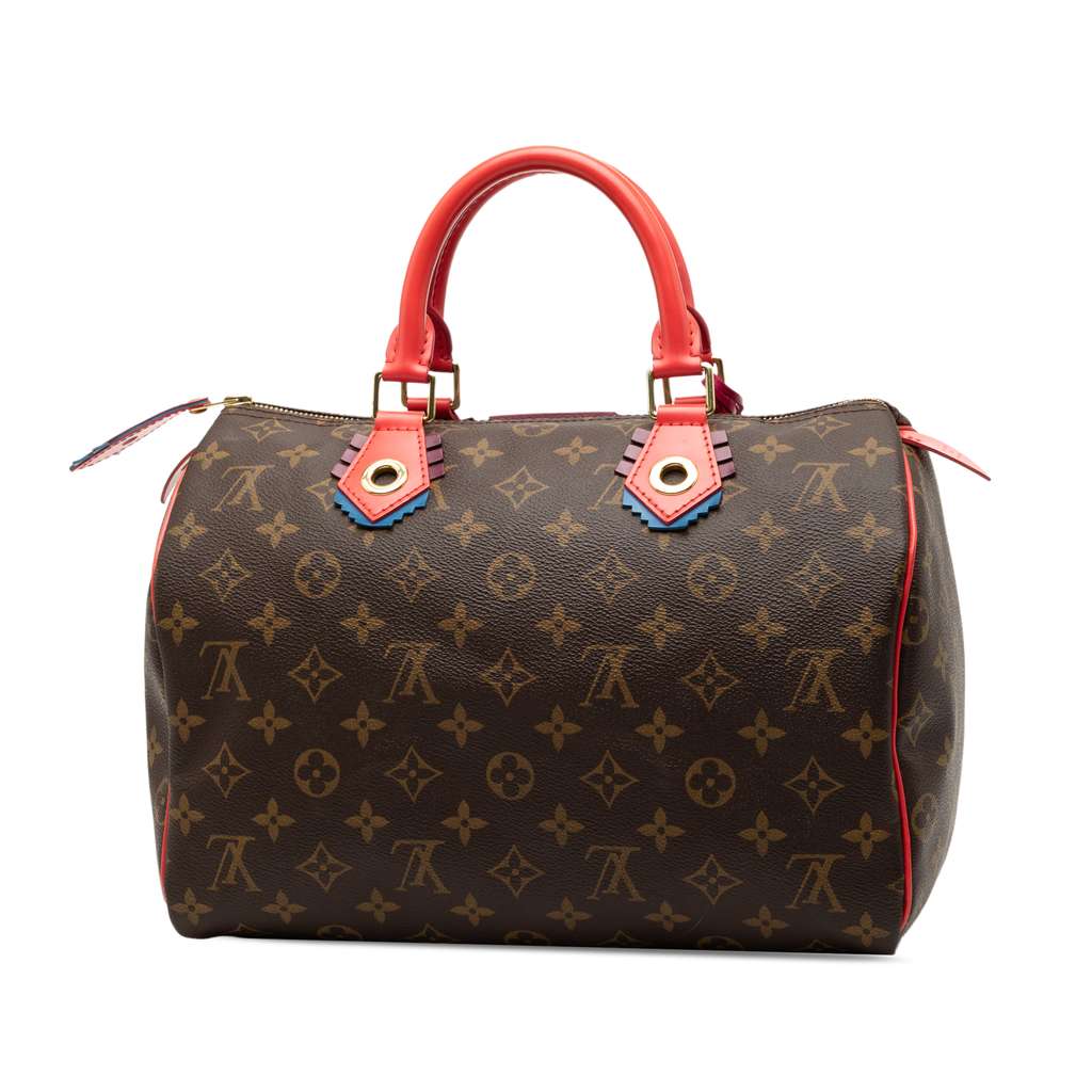 Louis Vuitton Monogram Totem Speedy 30 Brown Good condition - Back View
