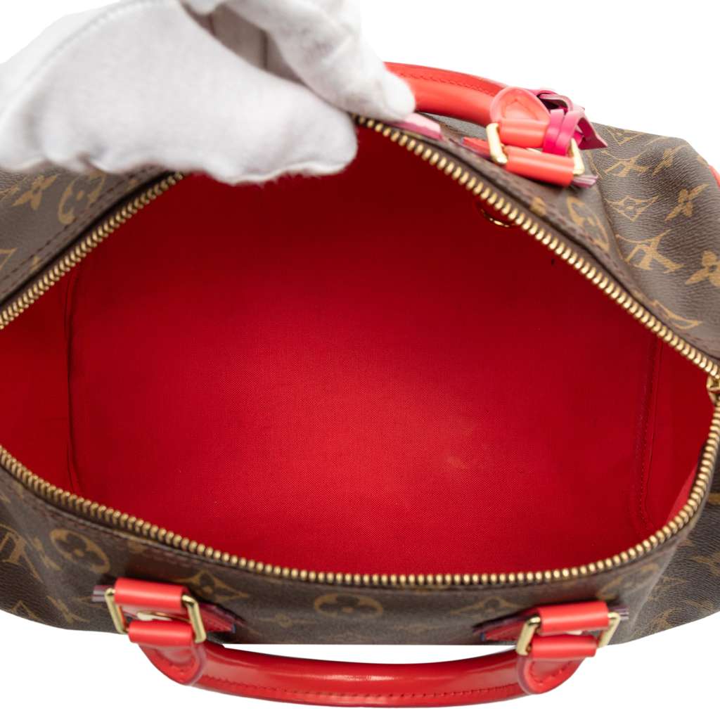 Louis Vuitton Monogram Totem Speedy 30 Brown Good condition - Model View