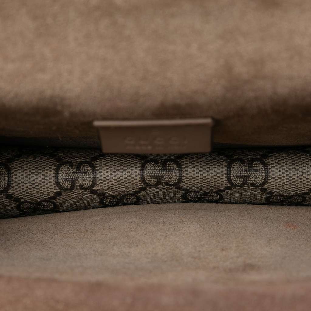 Gucci Small GG Supreme Dionysus Crossbody Brown Canvas Good condition - Model View