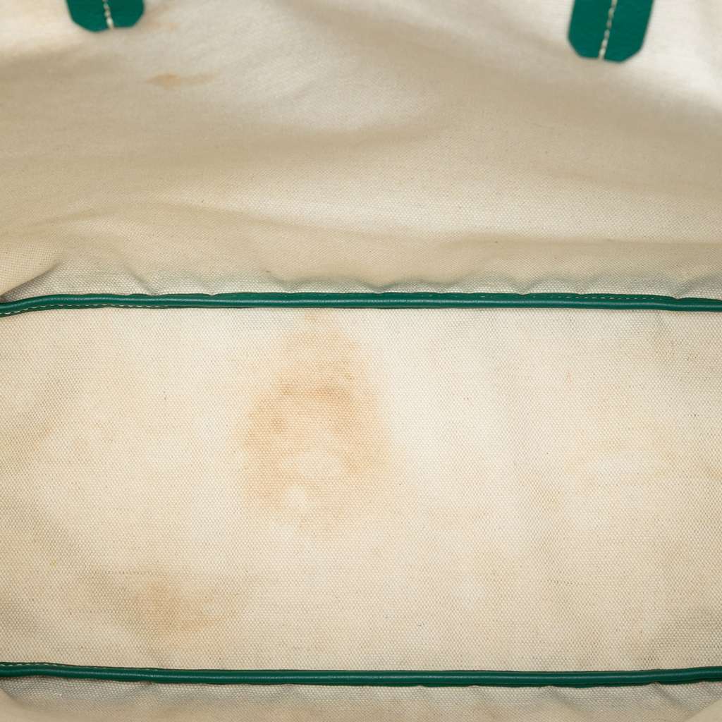 Goyard Goyardine Saint Louis PM Green Canvas Good condition - Model View