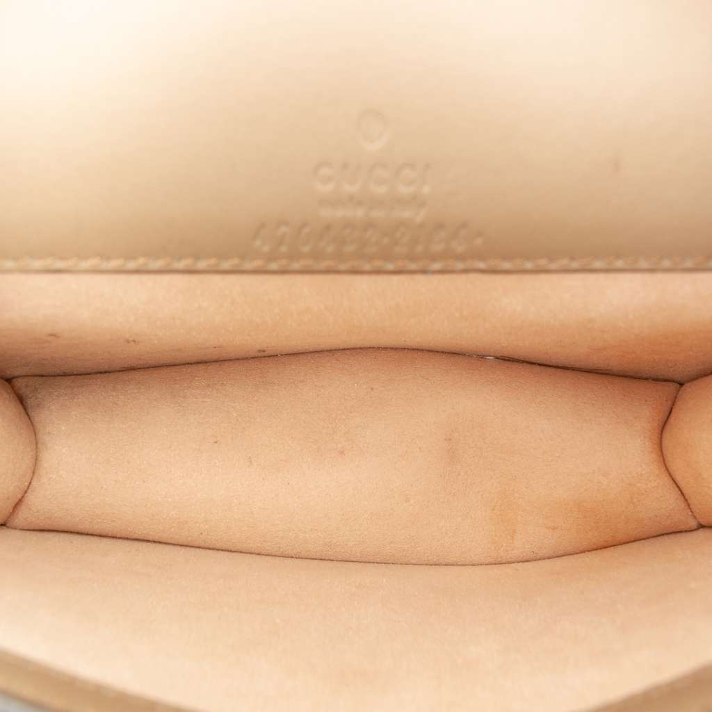 Gucci Mini GG Supreme Dionysus Crossbody Brown Canvas Good condition - Model View