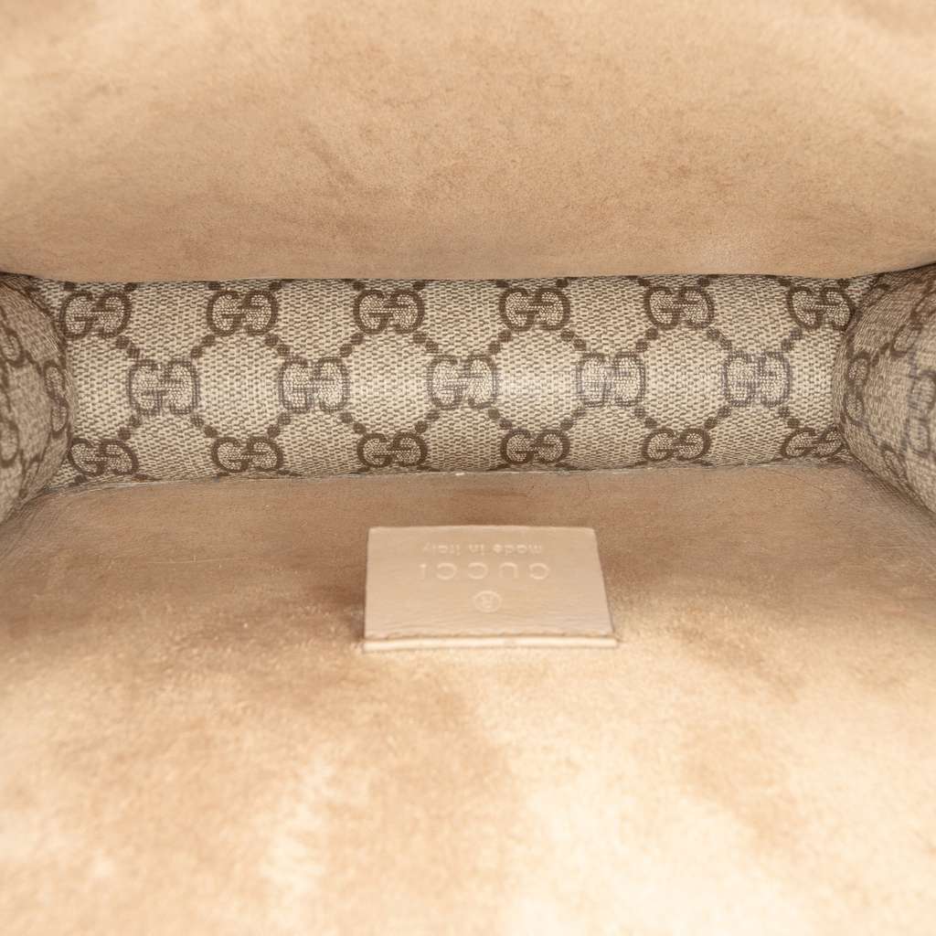 Gucci Small GG Supreme Dionysus Crossbody Brown Canvas Good condition - Model View