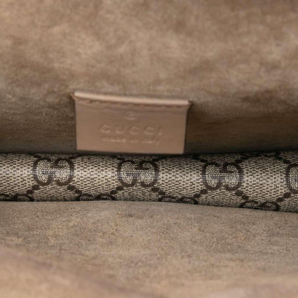 Gucci Small GG Supreme Dionysus Crossbody Brown Canvas Good condition - Model View