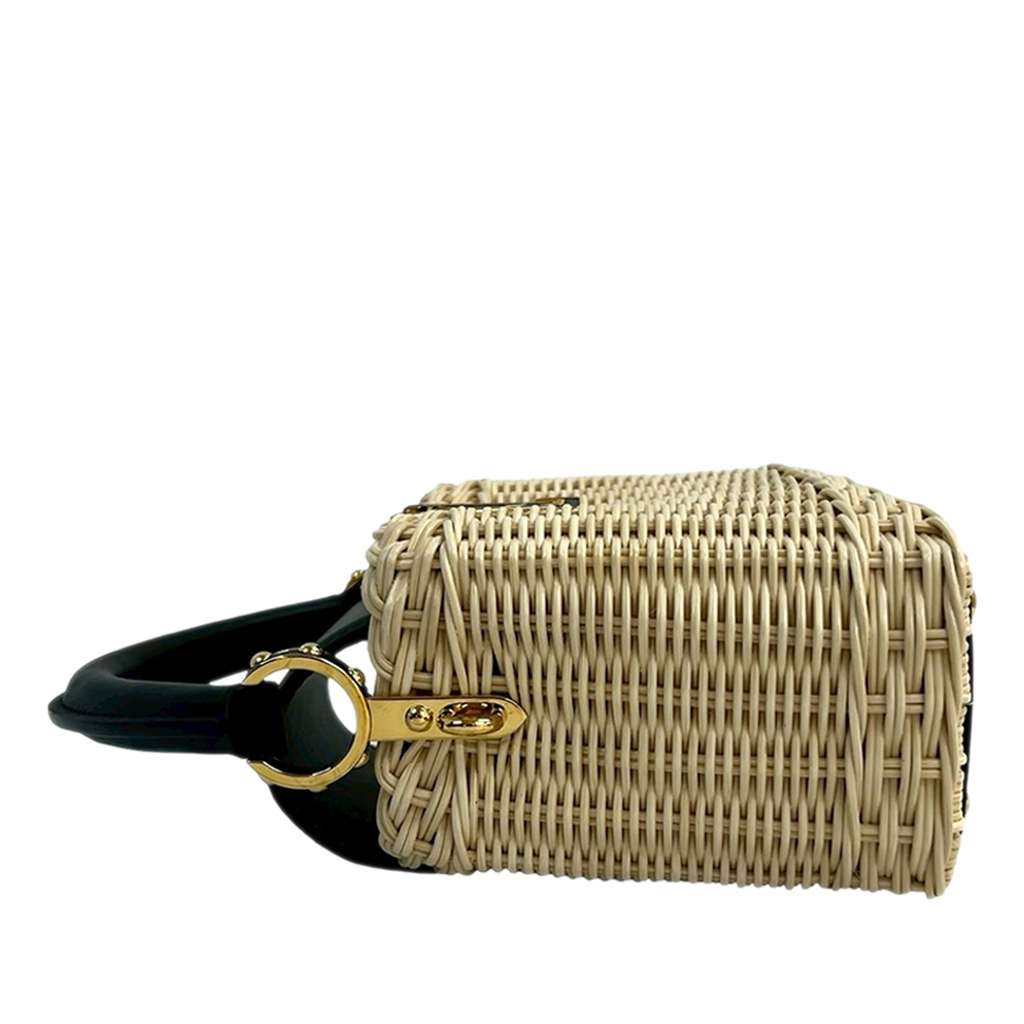 Louis Vuitton Mini Rattan and Smooth Calfskin Capucines Brown Good condition - Box View