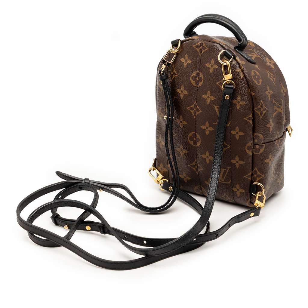 Louis Vuitton Monogram Mini Palm Springs Brown Good condition - Back View