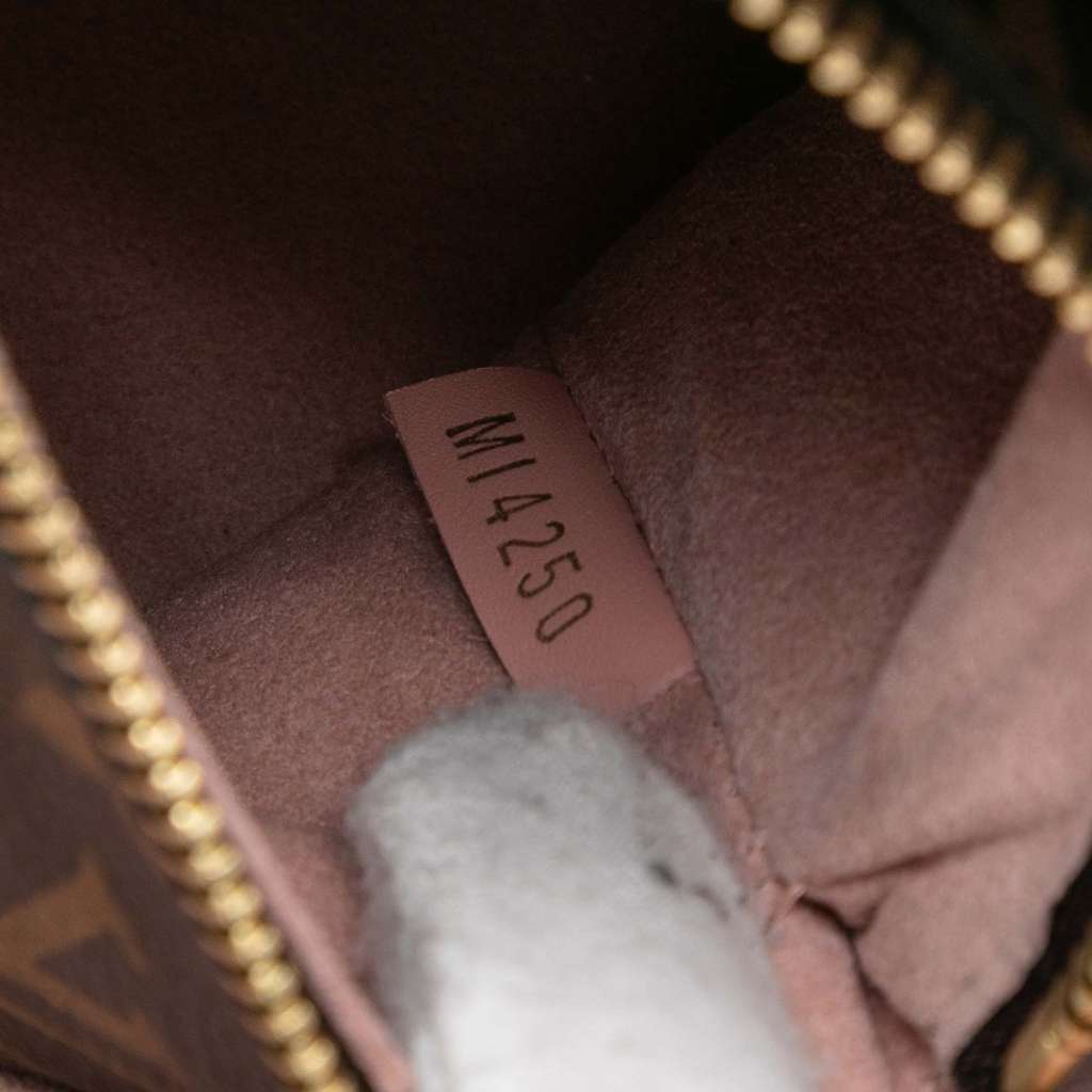 Louis Vuitton Monogram Neonoe MM Brown Good condition - Box View