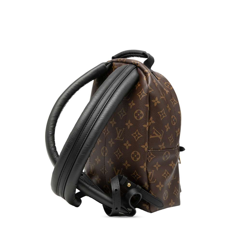 Louis Vuitton Monogram Palm Springs PM Brown Good condition - Back View