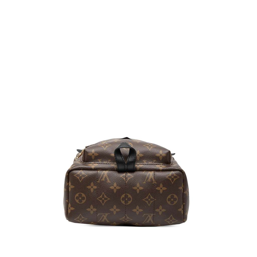 Louis Vuitton Monogram Palm Springs PM Brown Good condition - Inside View