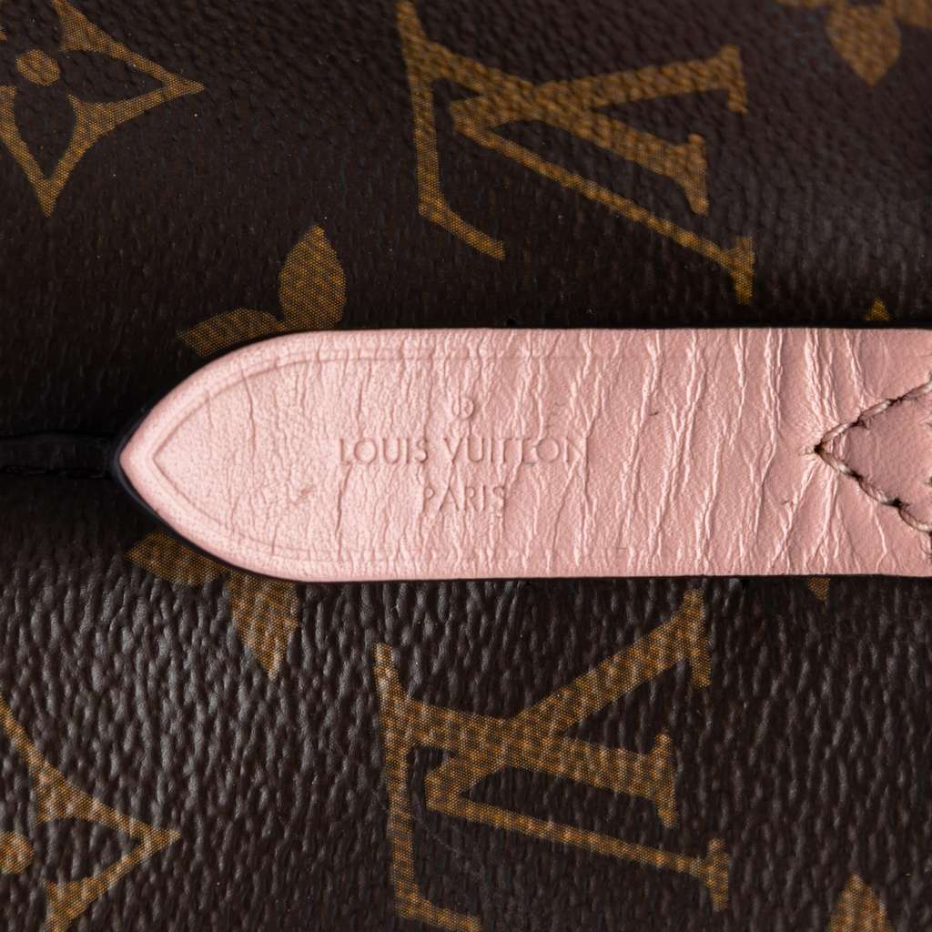 Louis Vuitton Monogram Neonoe MM Brown Good condition - Box View