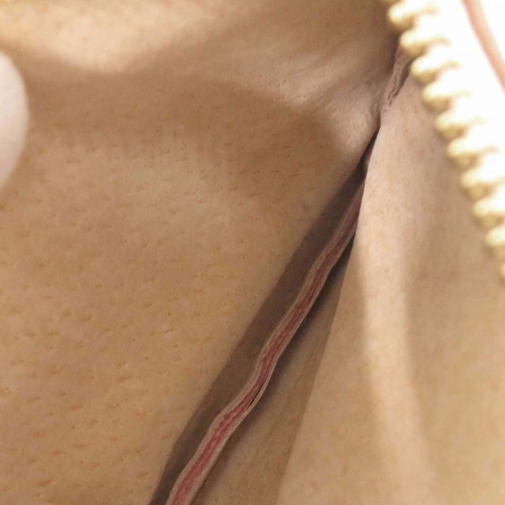 Loewe Nappa Coin Pouch Pink Leather Good condition - Model View